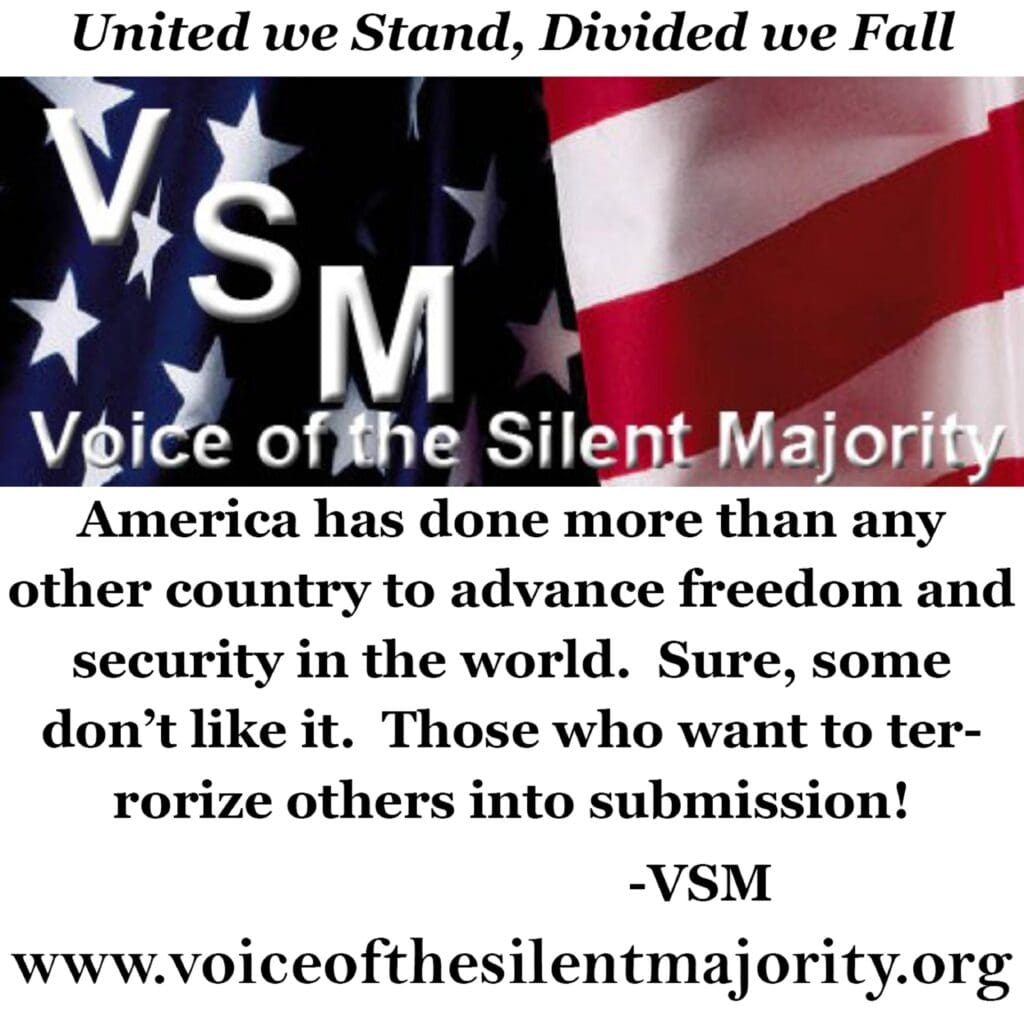 A poster with the words united we stand divided fall voice of the silent majority.